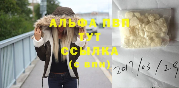 винт Горно-Алтайск