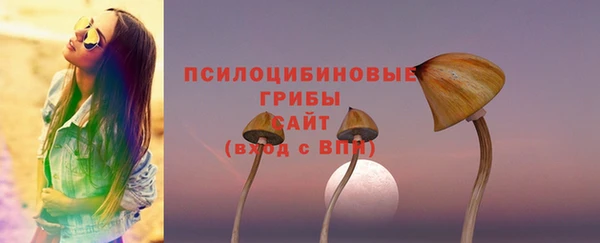 ALPHA-PVP Горняк