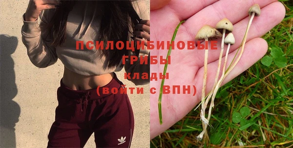 винт Горно-Алтайск