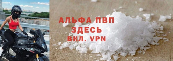 винт Горно-Алтайск