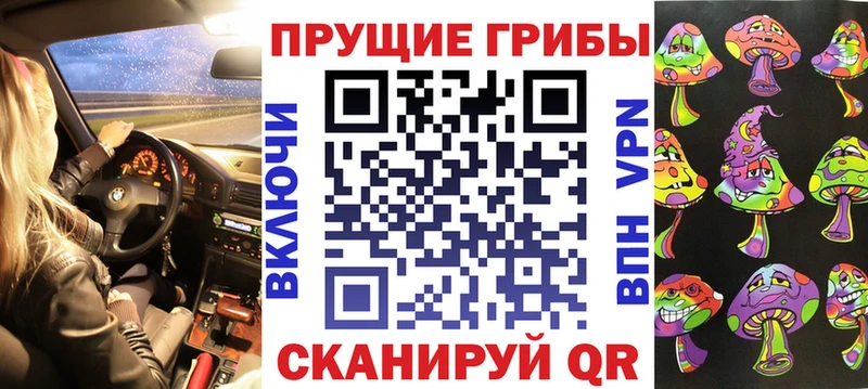 маркетплейс формула  закладка  Шагонар  Псилоцибиновые грибы Psilocybe 